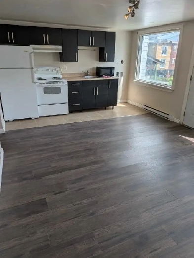 Apartment for rent Hull<.<. Gatineau Image# 6