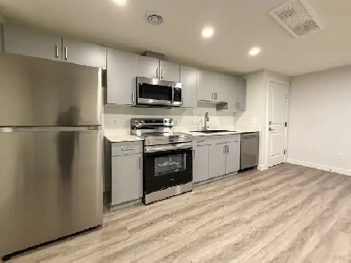 Basement-19145 22A Ave Northwest Image# 5