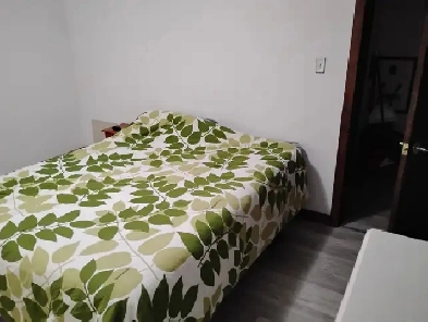 Room for Rent in Edmonton Riverbend Area Image# 1
