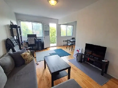 Grand 3 ½ à louer à Montréal (H2K) Image# 1