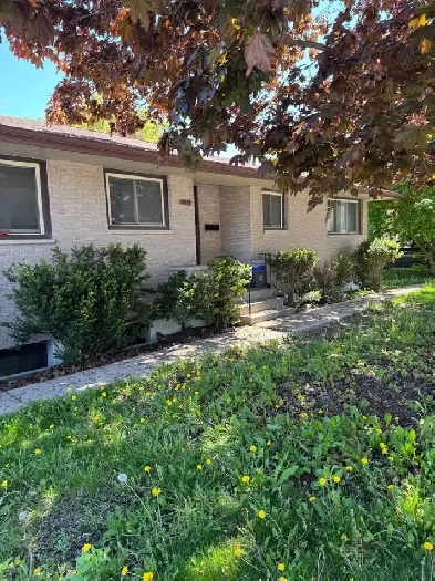 3 Beds 1 Bath - Apartment Image# 8