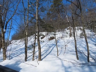 waterfront lot on Prince Lake