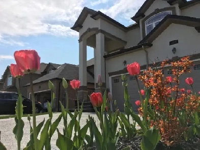 West Mountain Hamilton - Room for Rent July 1st Image# 4