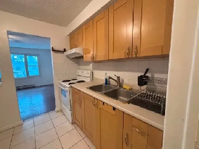 Huge LOFT 2 LEVELS 3 BDR Apartment for Rent (Dufferin Eglinton) Image# 1