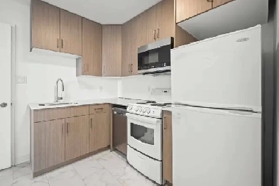Newly Renovated 1 Bed 1 Bath! Move In Ready! Image# 1