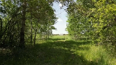 2.05 Acre Building Site only 10 Min From Stienbach Image# 2