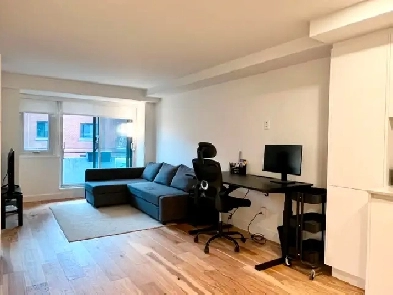 SUB-LEASE - Gorgeous 1 Bedroom   1 Bath Condo -  Furnished Image# 12