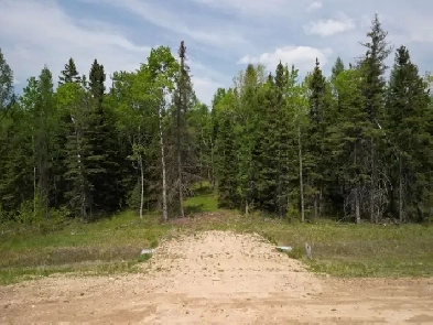 2 Acre Tree Lot in Prawda, MB.  Only 25 Min. From Falcon Lake! Image# 1
