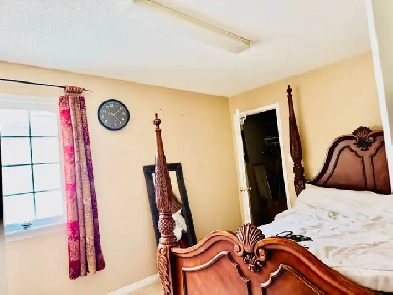 low price urgently room for rent female only Image# 1