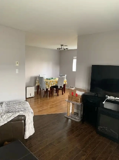 apartment for rent Image# 3