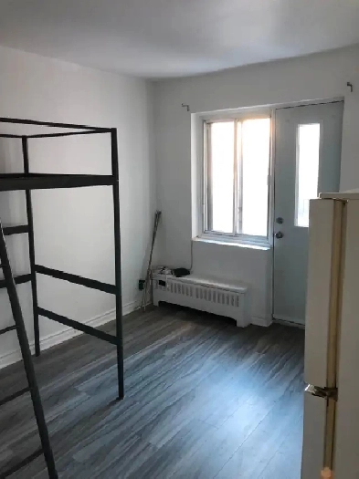 Studio 1 1/2 sur le Plateau présentement disponible Image# 1