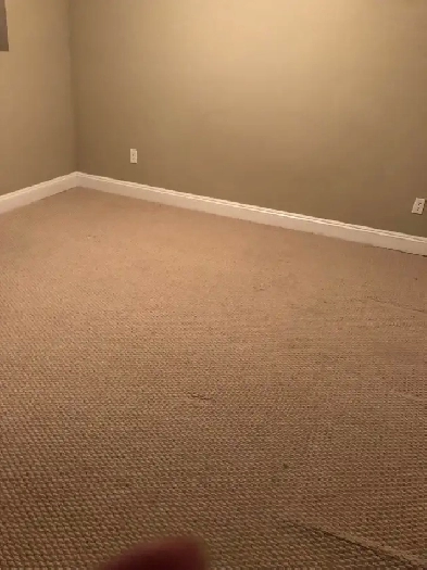 2 bedroom basement Image# 4