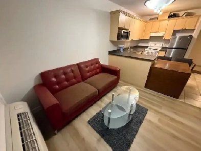 Beautiful one bedroom apartment for rent in downtown Image# 3