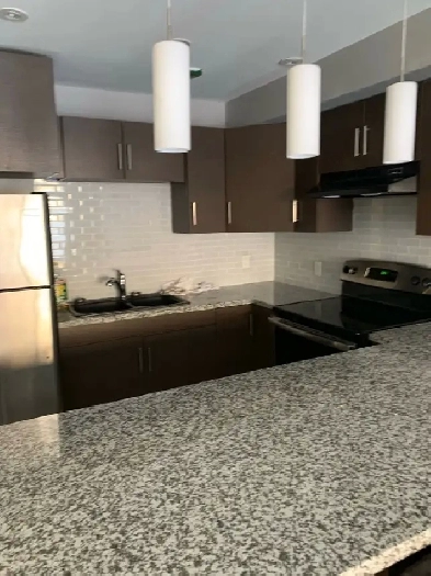 1 bedroom dog friendly lacewood drive Image# 1