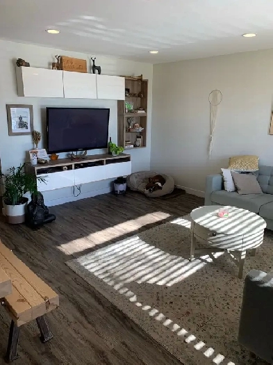 2 rooms for rent Image# 1