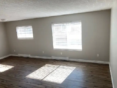 Fully Remodelled Two Bedroom Apartment for Rent Image# 9