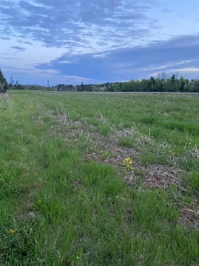 60 acres of prime farmland for rent Image# 3