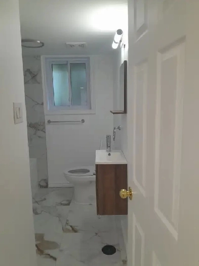 Grand 41/2- Neuf,  Demi-sous-sol , Rosemont Image# 1