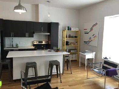 LARGE SUNNY FURNISHED STUDIO ALL INCLUDED - Place des arts Image# 7