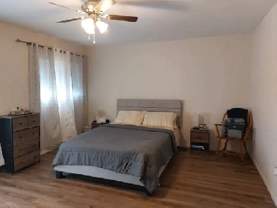 Master bedroom for a female student at York Image# 10