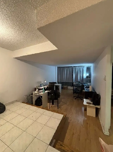 3 1/2 apartment 1 BHK available for rent for 3 months Image# 4