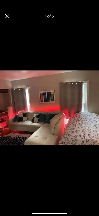 READY NOW!  Downtown HFX Furnished & PER FRIENDLY! INCLUDES ALL Image# 5