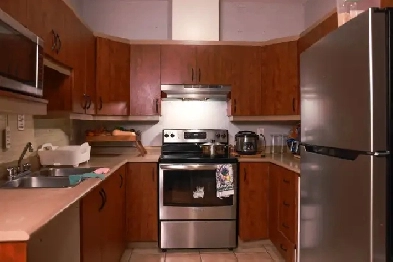 Magnifique appartement à louer Image# 5