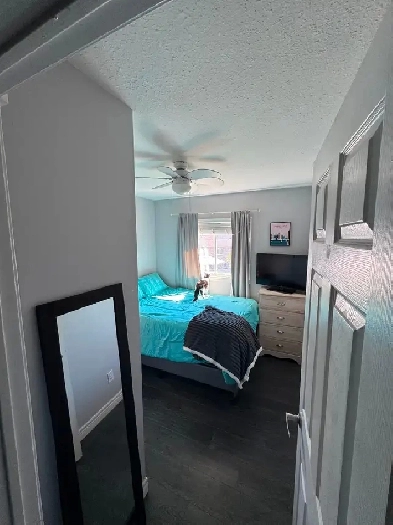 Room for Rent Image# 4