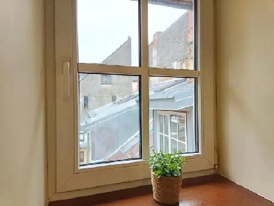 One bedroom for single or couple Image# 1