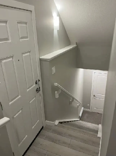 Brand New Legal Basement Suite for Rent in Mahogany , SE Image# 4