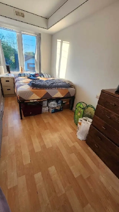 Private room available for a couple or female, vegetarian Image# 2