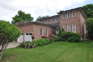 XLARGE 3 BEDRM BASEMENT APT WITH HIGH CEILINGS YONGE AND STEELES Image# 4