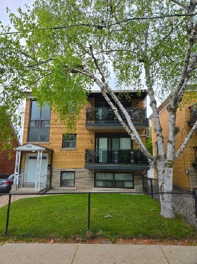 Beautiful Two Bedroom For Rent Danforth/Greenwood Image# 7
