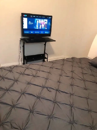 Gorgeous and Specious Furnished Room in Scarborough for Rent Image# 1