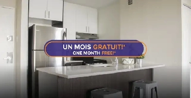 Apartment for Rent at 1101 Rachel, Le Plateau Mont-Royal Image# 7