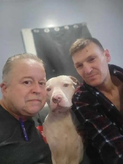 rental.  immediately Image# 1