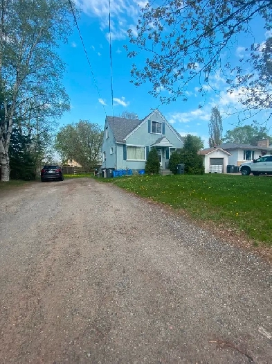 Roommate wanted! Image# 1