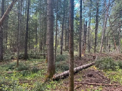 Terrain à vendre pour auto-constructeur à Morin Heights Image# 1