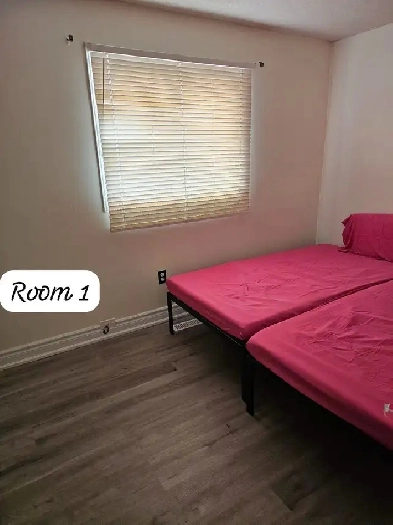 Sharing Room for 2 girls near Algoma Sheridan Hurontario Image# 1
