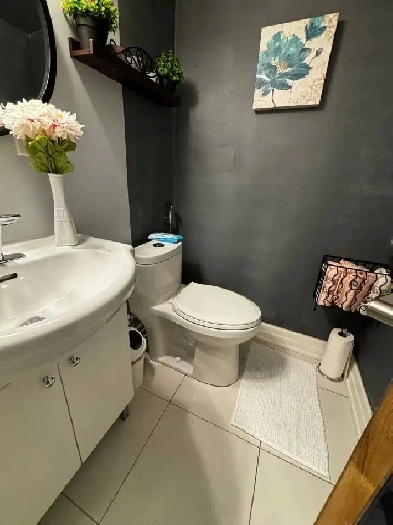 1700/1br–1bathrooms basement- Yonge/Major Mac Richmond Hill Image# 5