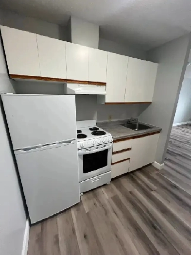 Bachelor apartment available July 1st Image# 8