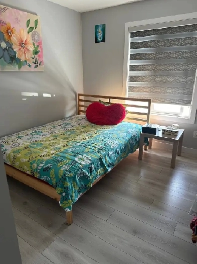 room for rent ( women) Image# 3