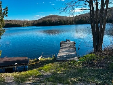 STUNNING VIEWS  RIDDLE LAKE, HOUSE  2.45 ACRES GREAT POTENTIAL! Image# 1