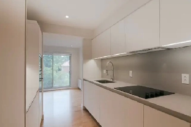 Newly Renovated 1 Bed 1 Bath near UDEM - ID 2169 Image# 1