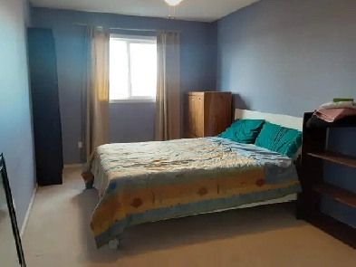 Room for Rent/Roommate Image# 1