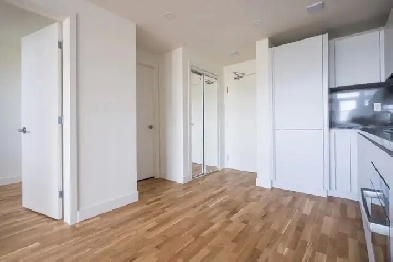Renovated one bedroom - ID 208 Image# 4