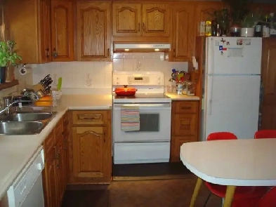 Room for International or University Student Available Now! Image# 1