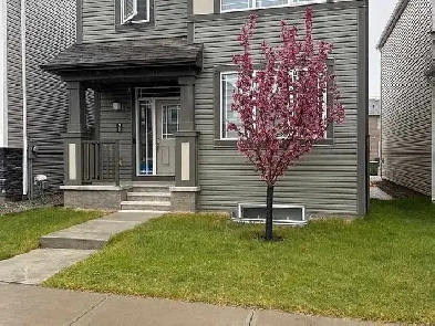 Beautiful 2 bed 1 bath basement suite (all utilities included) Image# 4