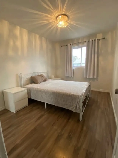 1 private bedroom June 1 or 15 markham and sheppard Image# 2