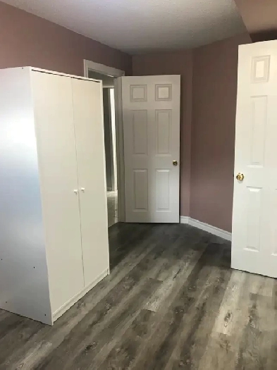 Spacious 2-Bedroom Shared Basement Apartment – Available Now! Image# 5